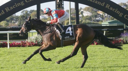 Demonetzation-w-7206-scaled-1-500x280.jp