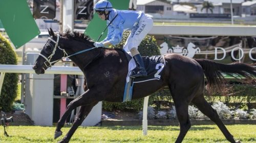 Doomben_Accountant_4-3_16888139_1960643_