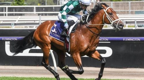 GALLOPS_FLEMINGTON_4-3_20448295_2050708_