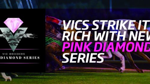 GRV_Pink-Diamond_Logo_header2-500x280.jp