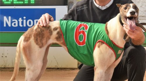 Gypsy-Bun-pic-Mount-Gambier-881x1024-1-5