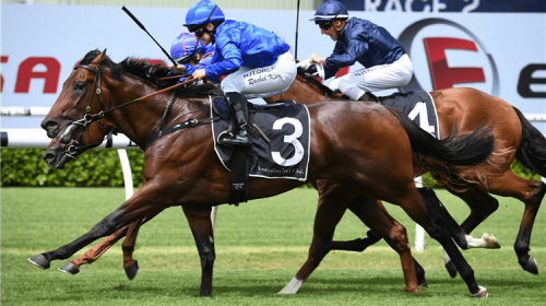 Horse-anamoe-161366-750x500-1-500x280.pn