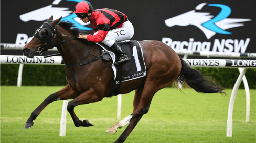 Horse-converge-163046-750x500-1-500x280.