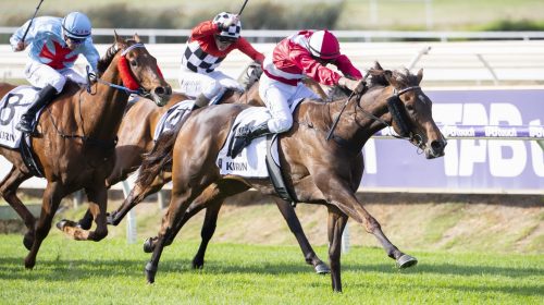 Inspirational-Girl_21-11-2020_WIN_Ascot_