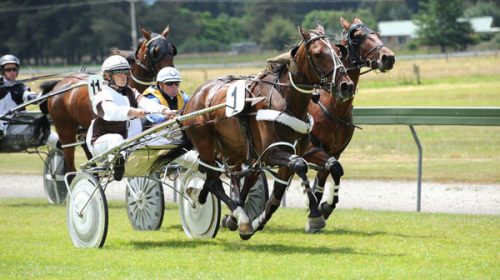 Johnny-Eyre-blog-image__ResizedImageWzYw