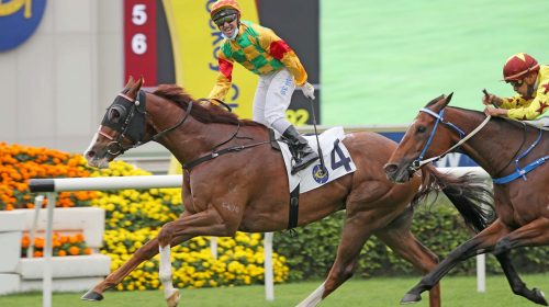 MG20210405_STRC_R3_90I9772sk-scaled-1-50