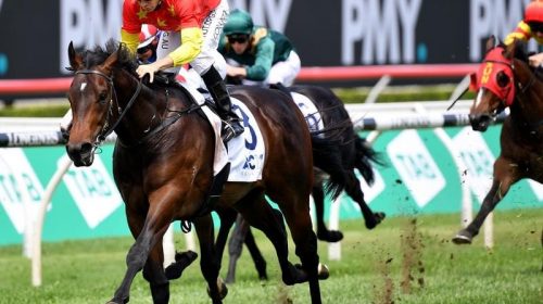 Randwick_Captivant_4-3_19714525_2034264_