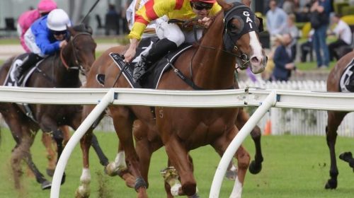 Rosehill_Roheryn_4-3_15170174_1906477_20