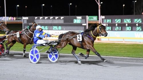 Royal-Roxy-blog-image__ResizedImageWzYwM