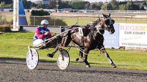 Tac-mac-blog-image-ascot__ResizedImageWz