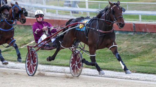 Tas-Girl-Bromac-blog-image-Jack-Harringt