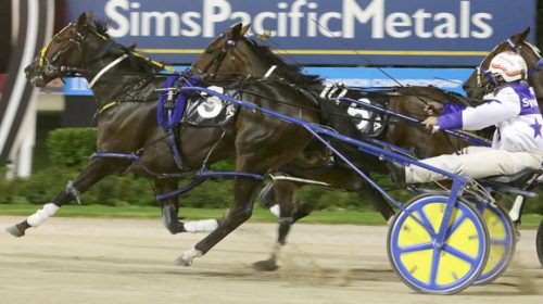 christianshavtime-wins-alex-park-blog-im