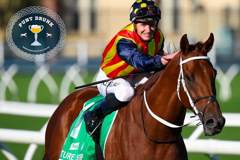 Nature Strip - TJ Smith Stakes 2021