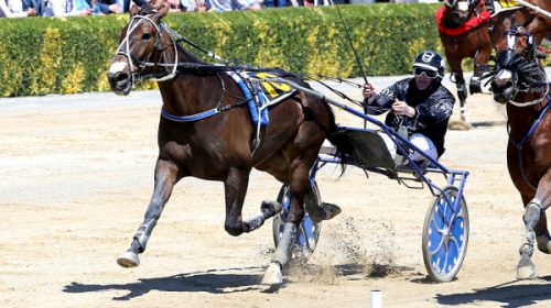 winterfell-blog-image__ResizedImageWzYwM