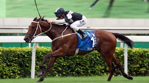 1_20200524-ST-R8-1-Horse-shot-YIU07528Y-