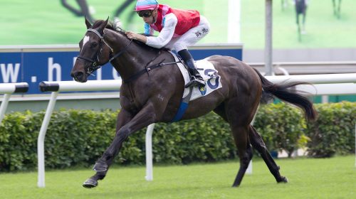 1_20201122_ST_R2_50V3154p-scaled-1-500x2