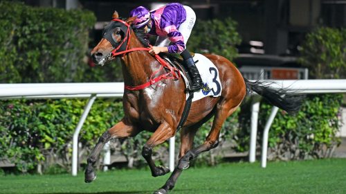 1_20210408-HV-R2-3-Horse-shot-ORL_0822o-