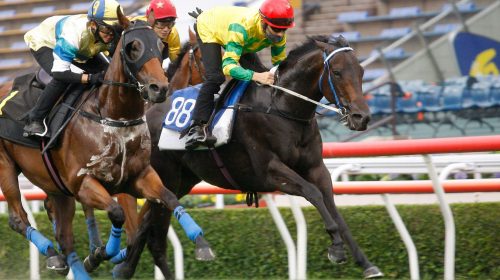 1_20210504_ST_Sky-Darci_KJC7616sk-scaled