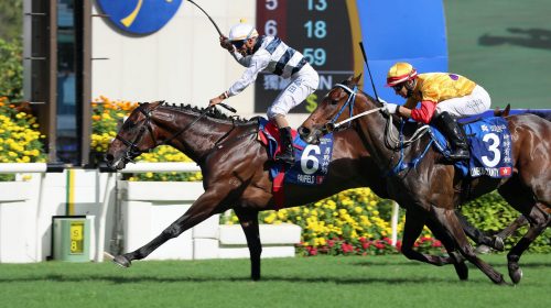 20210523leadpicpanfield-scaled-1-500x280