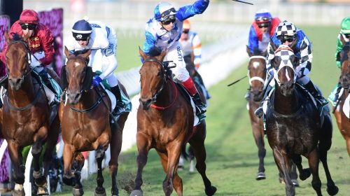 Bostonian_Kingsford-Smith_GP-3-500x280.j