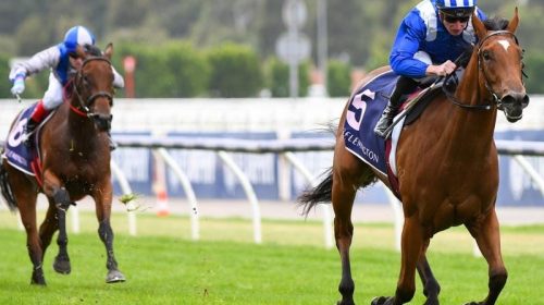 Flemington_Minhaaj_4-3_18301393_1998987_