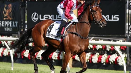 GALLOPS_ARCADIA_4-3_20154908_2044252_202