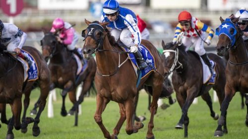 Gallops_Vanna_4-3_20356480_2048612_20210