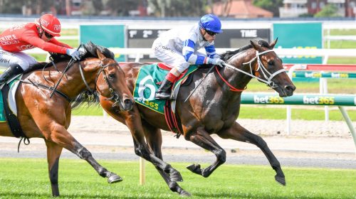 Kukeracha_Geelong_15.4.2020_Reg_Ryan._Ra