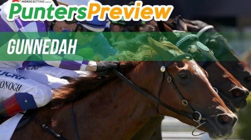 Punters-Preview-Gunnedah-500x280.jpg