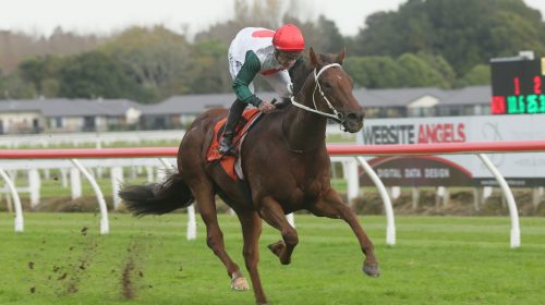 Run-To-Perfection-a-7480-scaled-1-500x28