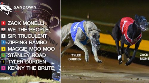 Sandown-Cup-box-draw-1024x527-1-500x280.