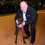 Sir Truculent with trainer Walter Harkins after running 2nd to Maggie Moo Moo in a Sandown Cup heat.