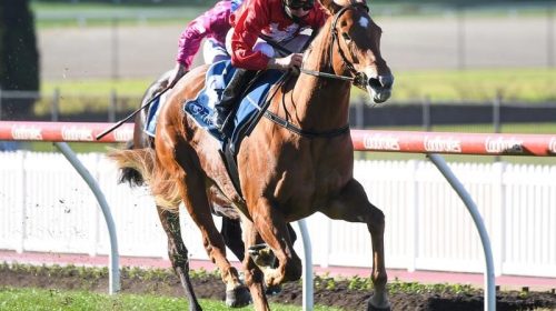 Valley_4-3_19328191_2025768_202008191308