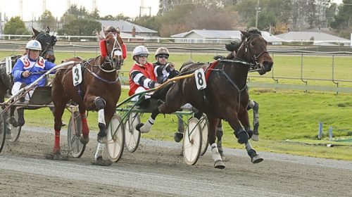 Zoned-Scarlett-Blog__ResizedImageWzYwMCw