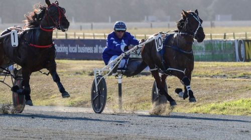 whole-lotta-rosie-blog-image-terry-chmie