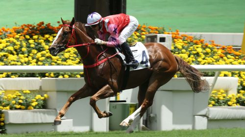 1_20210523_ST_R3_50V8724p-scaled-1-500x2