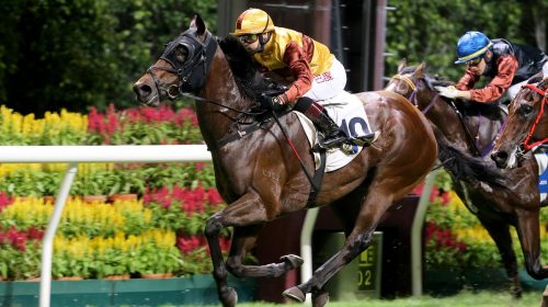 20210602_leadpicjune2-scaled-1-500x280.j