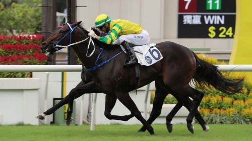 2_20210530_ST_R3_90I9718sk-scaled-1-500x