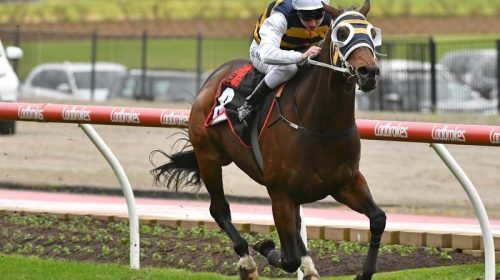 Caulfield_4-3_18821084_2012304_202005271