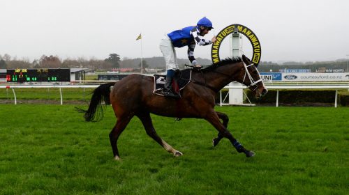 ITISWHATITIS-2-MANAWATU-19-6-2021-PHOTO-