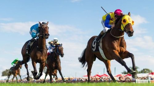 Ipswich_Honey_4-3_16510890_1949904_20190