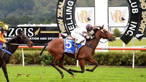 KINGSTON-FLYER-WRC-29-5-2021-RACE-IMAGES