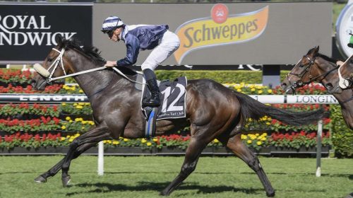 Kinane_Randwick_G3_Frank_Packer_Plate_18