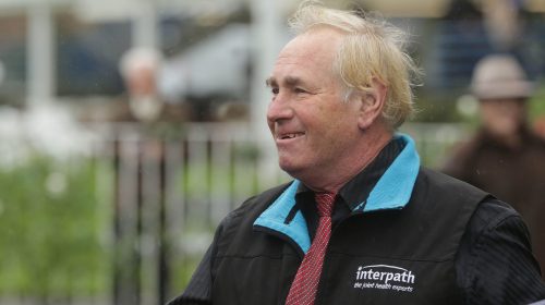 Williams-Johnny-0145-scaled-1-500x280.jp