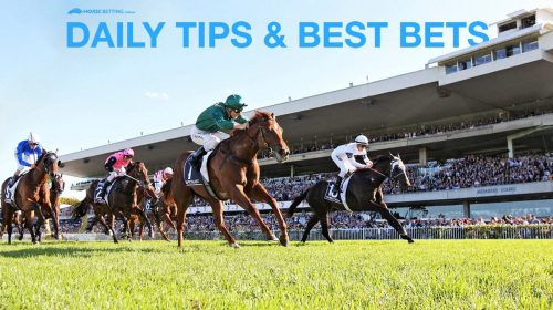 dailytips-rosehill-500x280.jpg