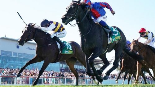 Flemington_Elizabeth_4-3_17520988_197836