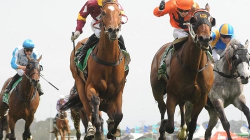 Kembla_Grange_Aqua_4-3_17622431_1980991_