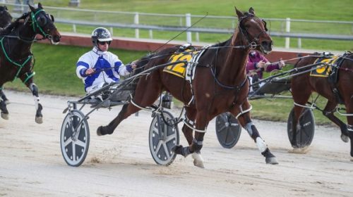 Pay-Me-Visa-wins-blog-image__ResizedImag