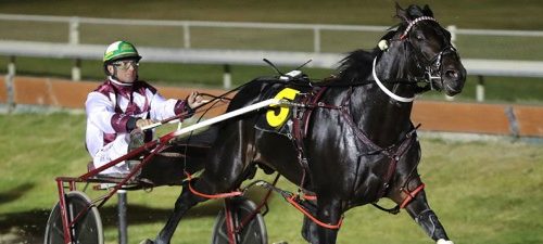 krug-action-wins-Vero-blog-2021-v2__Resi