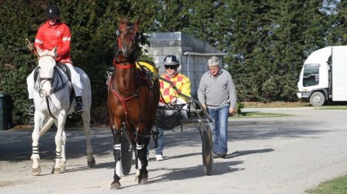 provocative-prince-blog-image__ResizedIm